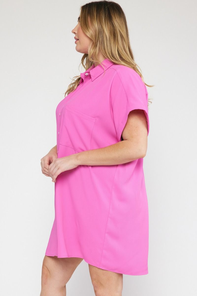 CURVY pink collared dress